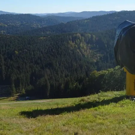 Mitterdorf Апартаменты Миттерфирмиансройт