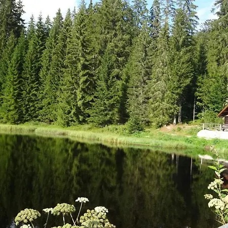 Mitterdorf Апартаменты *