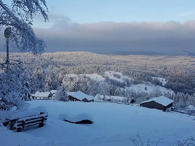 Mitterdorf