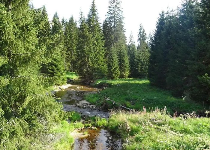 Mitterdorf * Mitterfirmiansreut