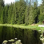 Mitterdorf Appartement *