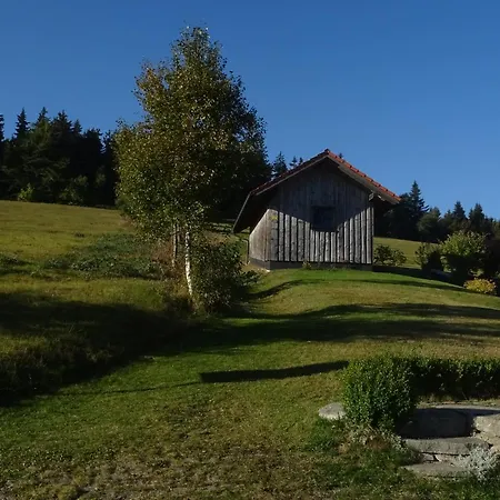 Mitterdorf Apartment *