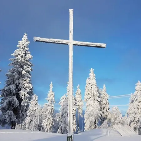 Mitterdorf Apartament Mitterfirmiansreut