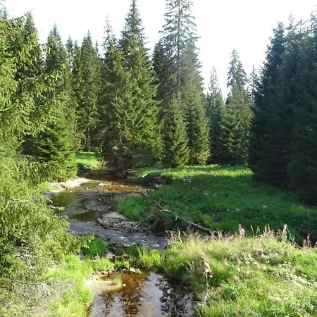 Mitterdorf * Mitterfirmiansreut