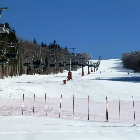 Mitterdorf Apartament