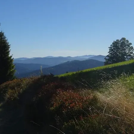 Apartmán Mitterdorf *