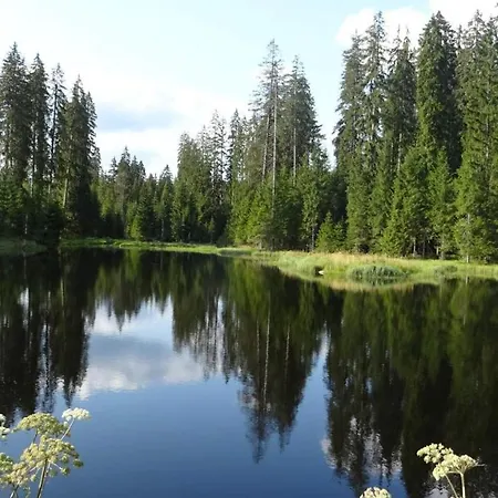 Apartament Mitterdorf